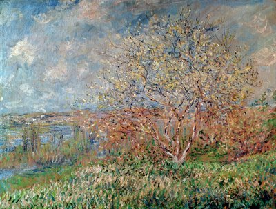 Primavera, 1880-82 da Claude Monet